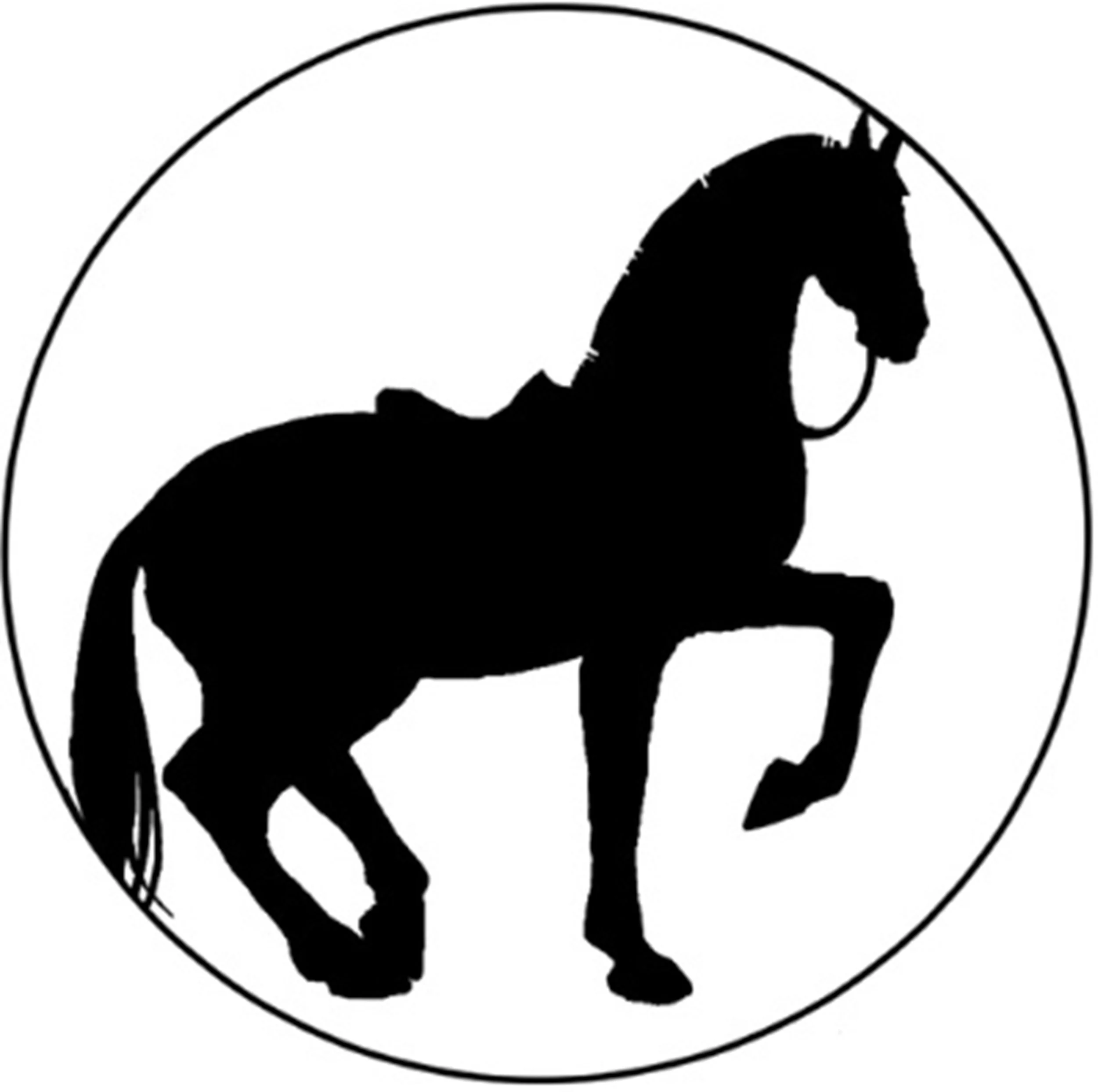 About Mary Anne Campbell — Classical Equitation With Mary Anne
